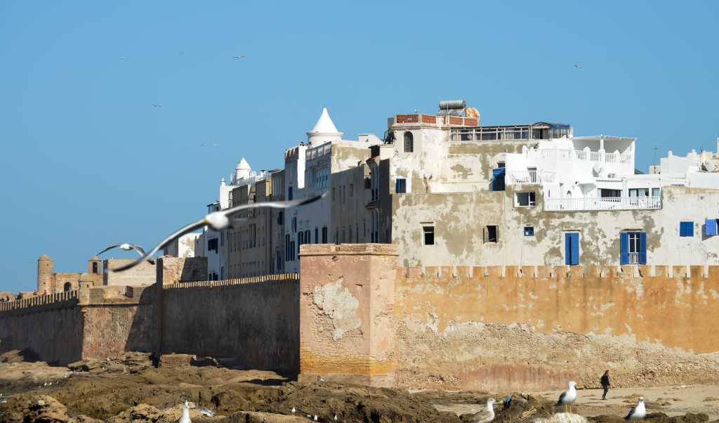 Dag 5 - Stedentrip Marrakech en Essaouira