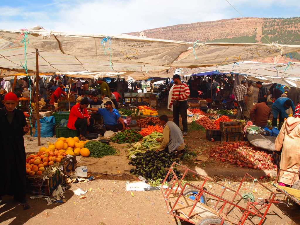 Dag 4 - Kruidenreis Marokko; geuren en kleuren
