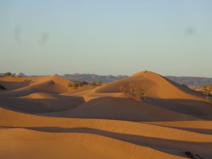 Woestijn wandelen en yoga 14 d. met Essaouira & Marrakech