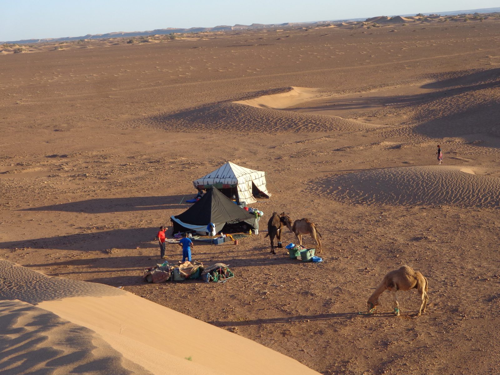 Marokko Sahara wandeltrektocht met bagagevervoer (kamelen)