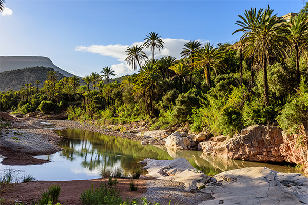 Dag 2 - Yoga en wandelen Zuid-Marokko vanuit Agadir