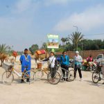 Tuinen van Marrakech per fiets