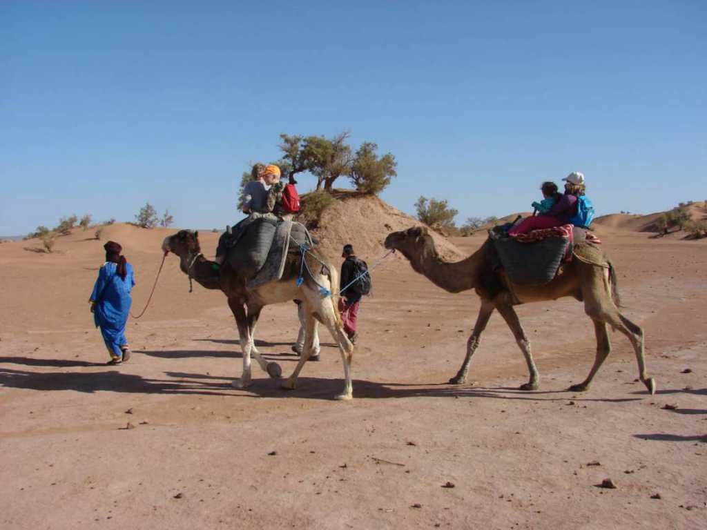 Dag 5 - Woestijn wandeltocht met kamelen vanaf Marrakech