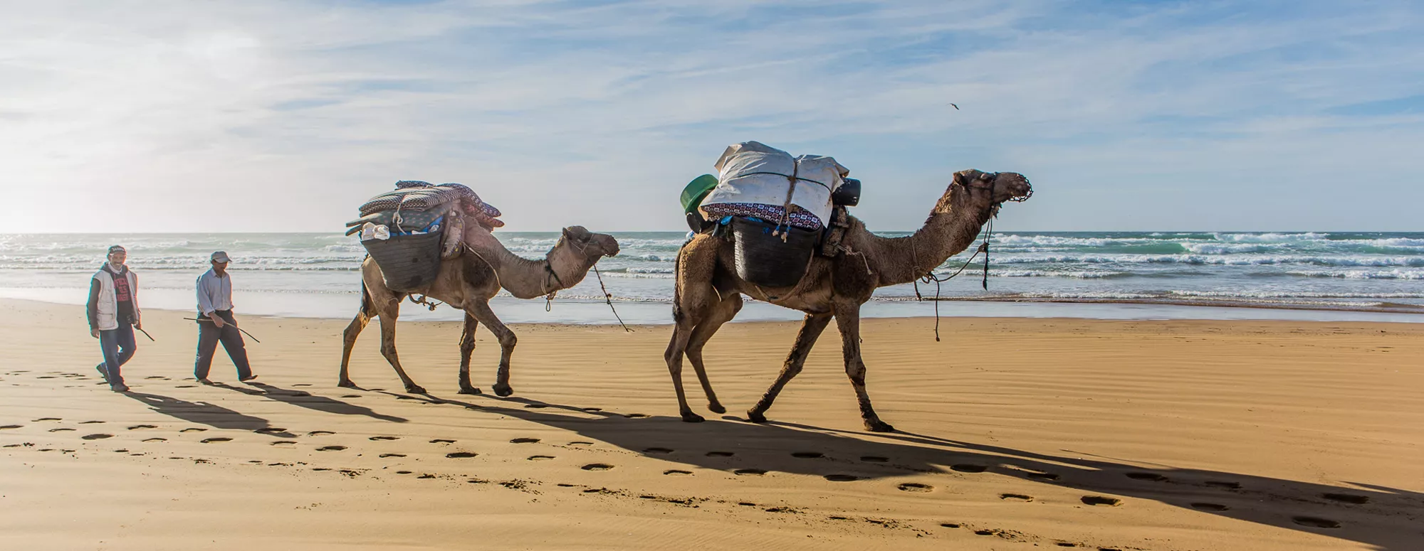 Atlantische kust wandelen & kamperen met bagagevervoer (kamelen)