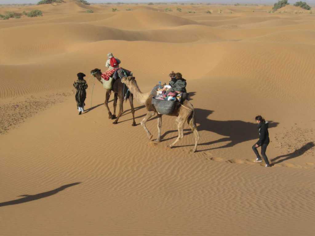 Dag 4 - Woestijn wandeltocht met kamelen vanaf Marrakech